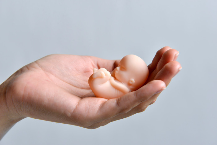 El polémico proyecto de ley de 