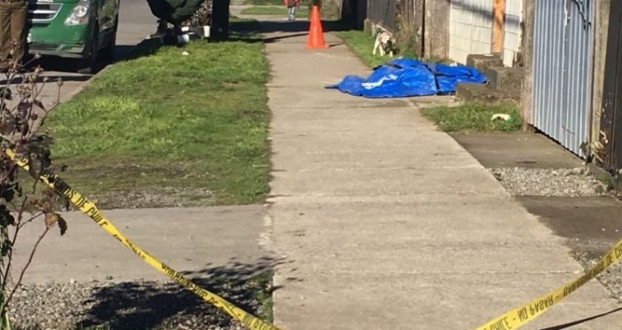 Víctima del frío: la cruda historia del hombre que murió de hipotermia en Frutillar