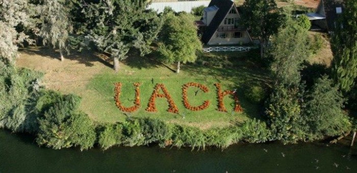 Estudiante falleció mientras entrenaba en gimnasio de la UACh: estaba levantando pesas