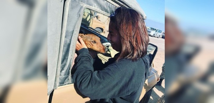 Final feliz para Gaspar: perrito que se perdió en aeropuerto se reencontró con su familia