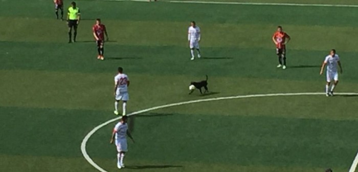 Primerabchile | Twitter