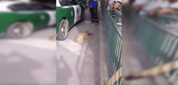 Denuncian a carabinero por matar a perro de un disparo en pleno procedimiento policial