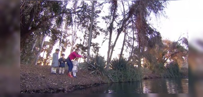 ¿Era posible que Reynaldo fuera cremado? La duda que dejó final de nocturna de Mega