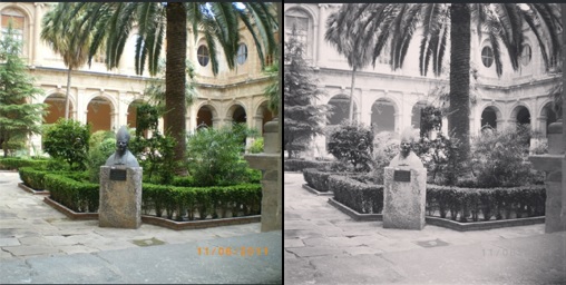 Willow / Laura López