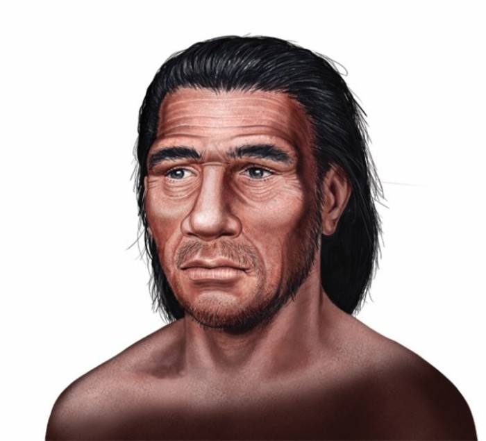 Homo neanderthalensis | Ilustración de Néstor Canavarro.