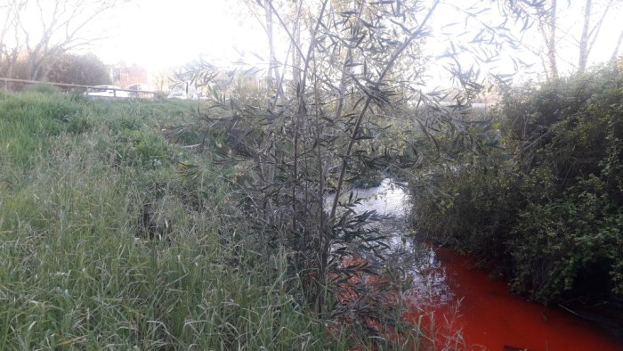 Extraño fenómeno asusta a vecinos de Talcahuano: canal se tiñó de rojo inexplicablemente