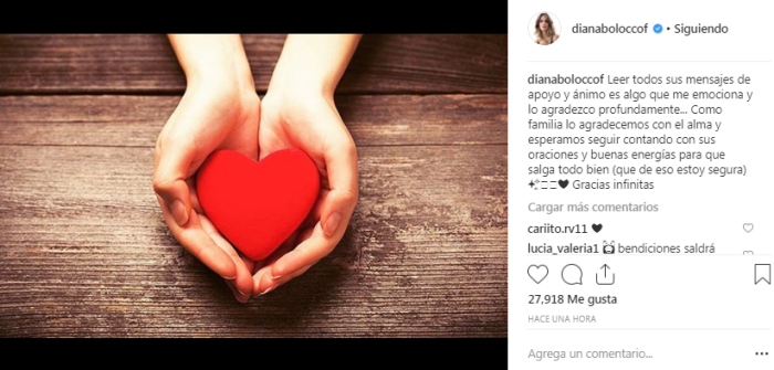 Diana Bolocco | Instagram