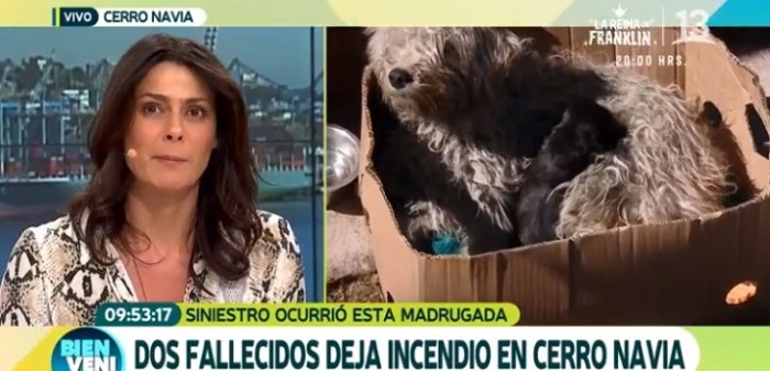 Periodista de Bienvenidos estalla en llanto en despacho sobre incendio: cortaron el enlace