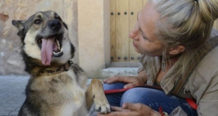 Perro que sufrió zoofilia por años de parte de su dueño fue rescatado: quedó con secuelas