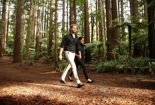 PHIL WALTER / POOL / AFP