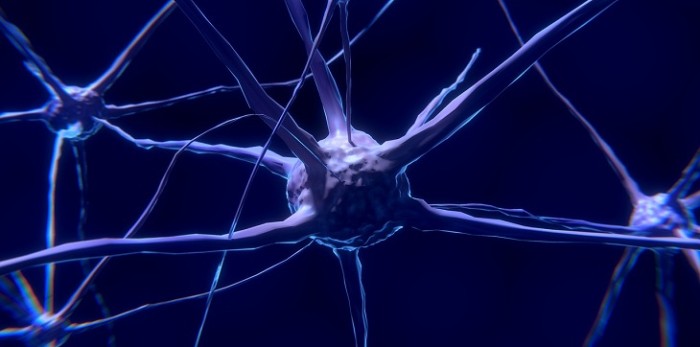 Las enfermedades mentales que provocan los herpes y que probablemente no sabías