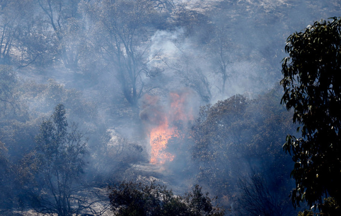Resultado de imagen para "Hay que grabar cuando explote": video muestra el momento en que jóvenes inician incendio en Curauma