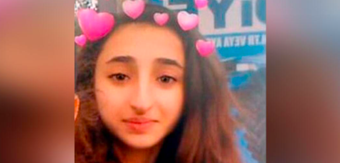 Participaba en el desafío de la ballena azul: adolescente turca murió tras dispararse con un rifle