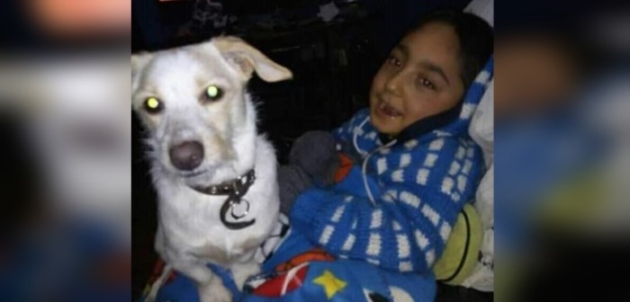 Madre de niño con parálisis cerebral busca intensamente a perrita de su hijo: es fundamental para él