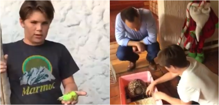 Niño dueño de 'Chimuelo' recibió tremenda sorpresa para pasar las penas: una nueva mascota