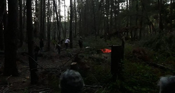 Encuentran cuerpo de un hombre en un predio forestal en Curanilahue: le habría caído un árbol