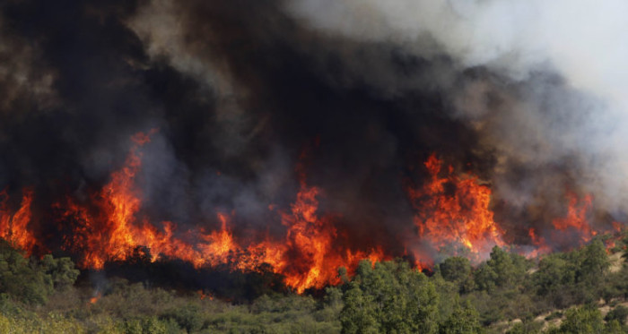 Muere hombre detenido como sospechoso de iniciar incendio en Casablanca: sufrió descompensación