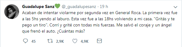 Guadalupe Sansz | Twitter