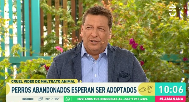 Fiel amiga: Julio César Rodríguez explicó por qué va a trabajar al matinal con su perrita