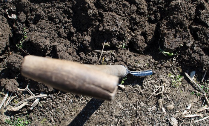 Joven es acusado de matar y enterrar a hombre en el patio de su casa tras aparente 'borrachera'