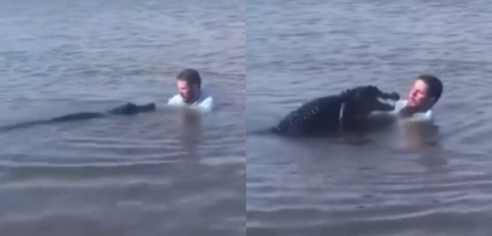 Inesperada reacción de caimán al acercarse a un hombre se volvió viral: no fue casualidad