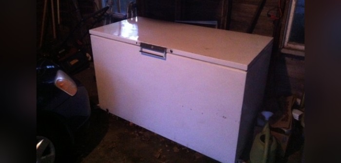 Hallan cadáver de joven croata en el congelador de su hermana: llevaba 18 años desaparecida