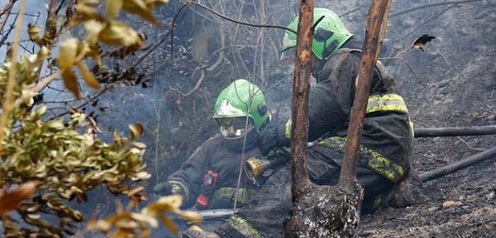 Los problemas no cesan: caída de rayo en Los Ángeles provocó nueva emergencia forestal