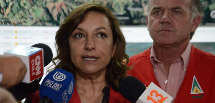 40 mil hectáreas quemadas: dan a conocer nuevo balance por incendios forestales