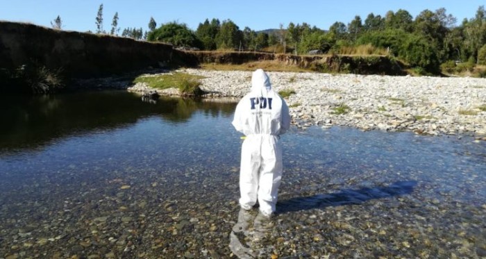 Hallan cuerpo de joven de 19 años en río de Osorno: PDI detuvo a quien sería su pareja
