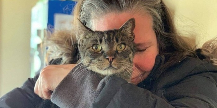Mujer feliz con regreso de su gato que estuvo perdido durante cinco años: 