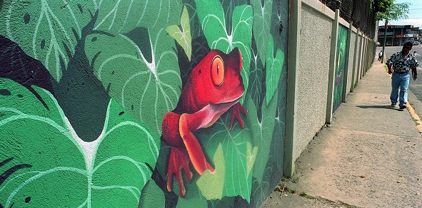 mural de rana