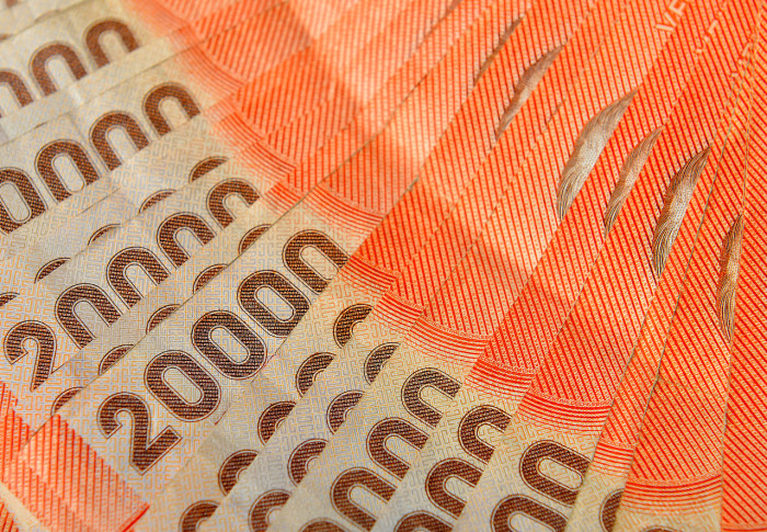 Bonos y beneficios 2020: conoce los 10 aportes a los que podrás acceder durante este año