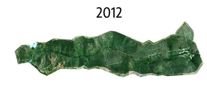 Pareja plantó árboles nativos por 20 años en bosque destruido y hoy luce totalmente diferente