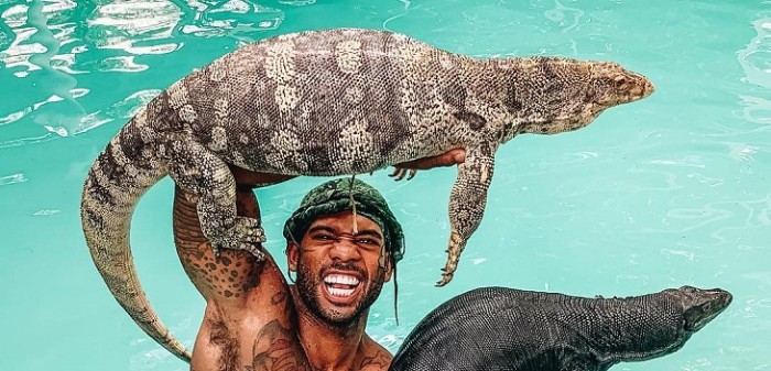 Mike Holston subio video de chimpance que usa instagram