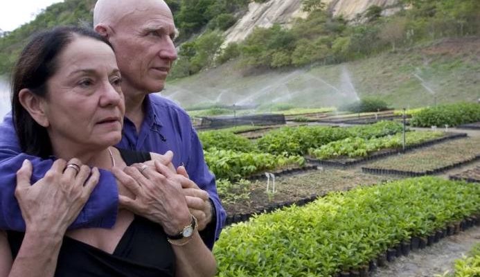 Noble tarea: pareja plantó árboles por 20 años para revivir 