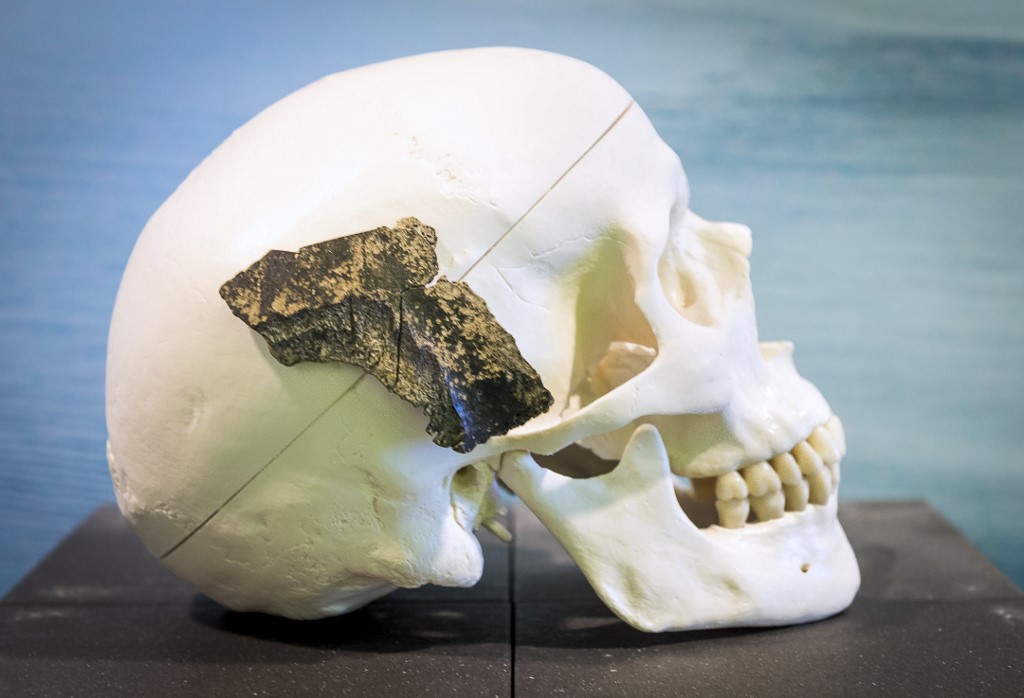 Fósiles Homo Sapiens y Neardental