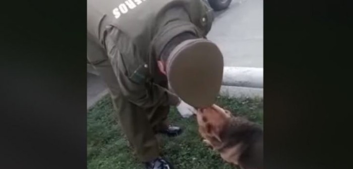 Dos carabineros salvaron la vida a perrito que se ahogaba con un hueso y él les agradeció emocionado