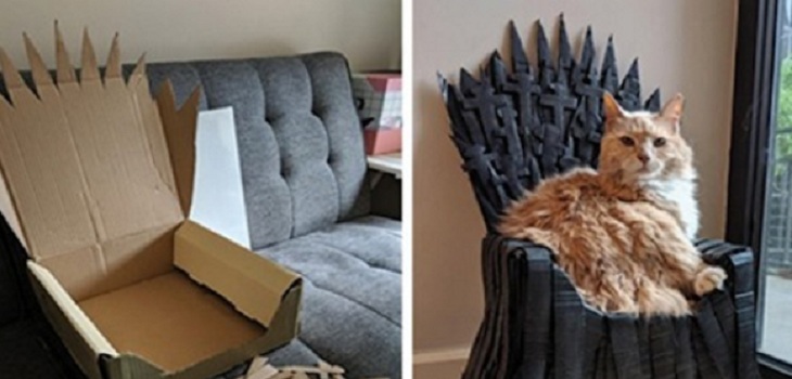 fanatico de game of thrones hizo un trono de hiero para su gato