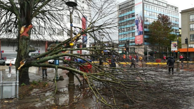 Tornado en Concepción