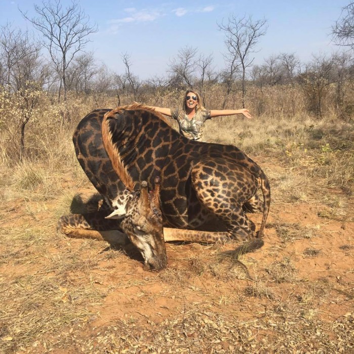 La cazadora Tess Thompson declaró no estar arrepentida de matar una jirafa 