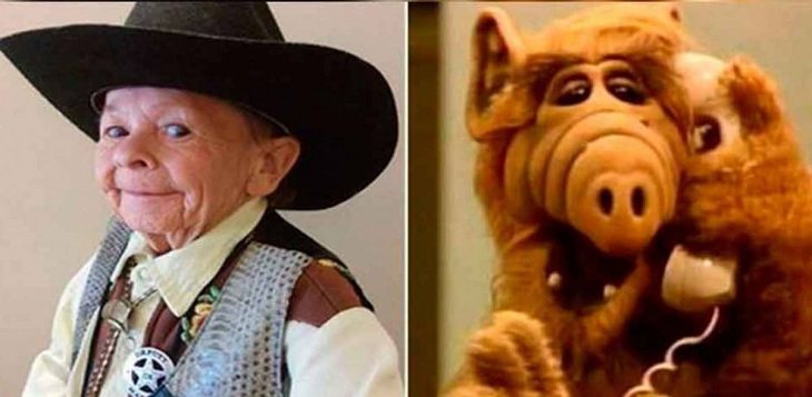 michu meszaros interpretaba a alf