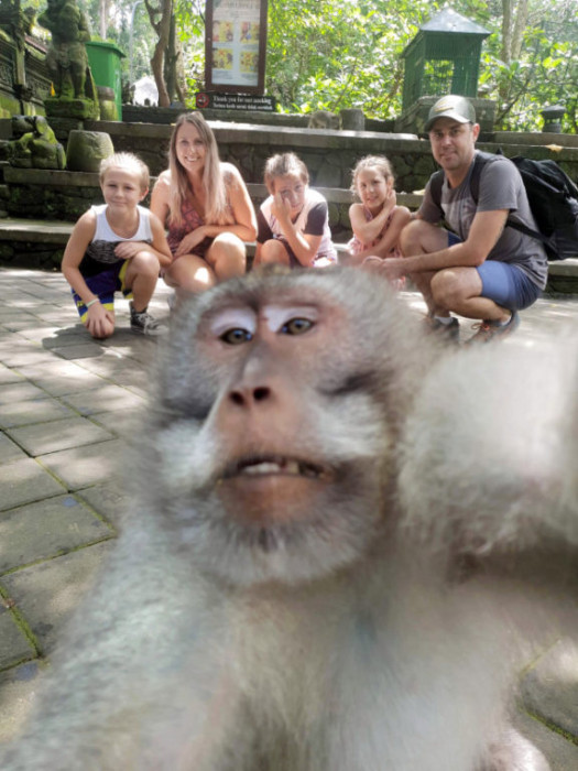 Mono se roba la película en fotos 