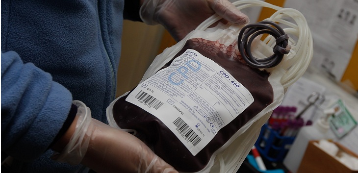 dia mundial donante de sangre