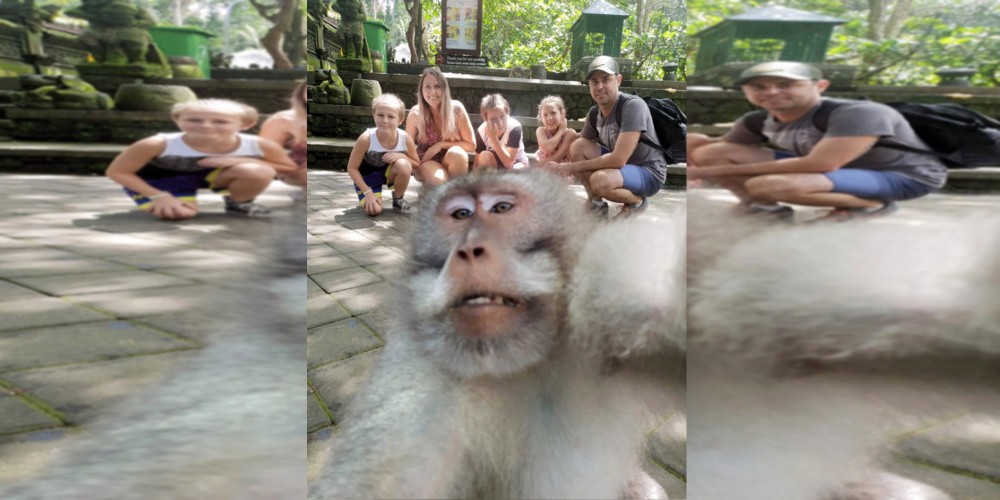 Mono se 'coló' en foto de turistas y se volvió viral