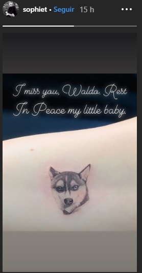 Sophie Turner y Joe Jonas se hicieron un tatuaje en honor a su perro recientemente fallecido