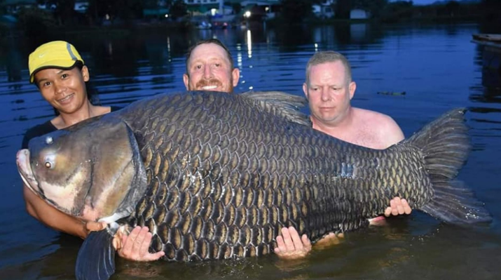 Hombre registró récord histórico: pescó pez carpa de 105 kilos