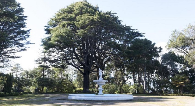vida de isidora goyenechea