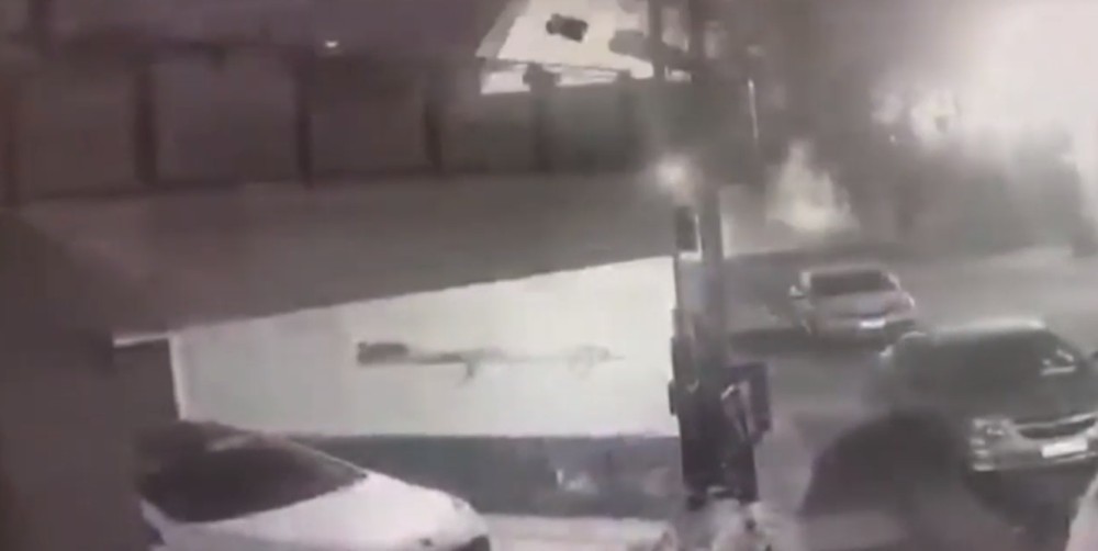 Registran impresionante derrumbe de edificio de 8 pisos en Buenos Aires: no hubo heridos