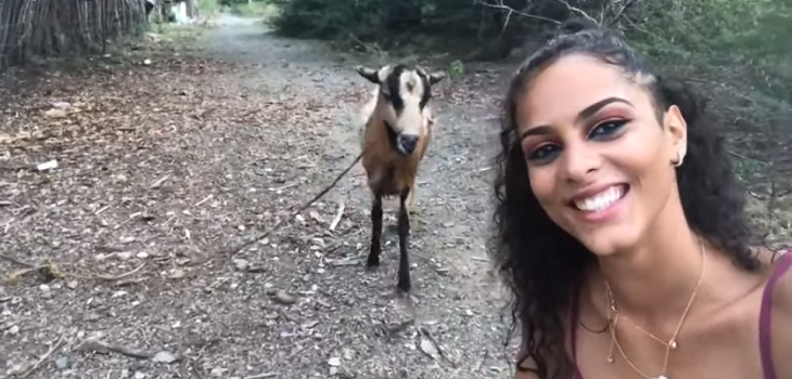 No fue como esperaba: Joven intentó tomarse selfie con una cabra y se llevó una gran sorpresa
