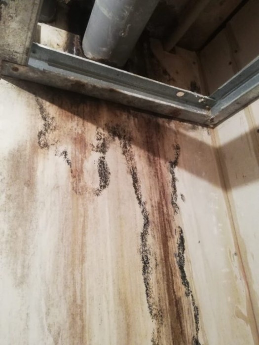 Consternados vecinos de Valparaíso: sus viviendas les han traído inundaciones y graves enfermedades